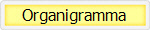Organigramma