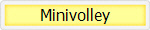 Minivolley